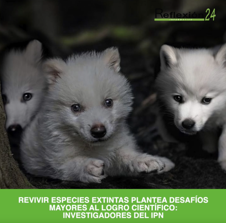 #CápsulaR24 #Noticias #Hoy #Cuautla #Morelos #PrimerSimulacroNacional2025 #Tlalnemex #IsaacMontoya #205AñosEcatepec #IPN